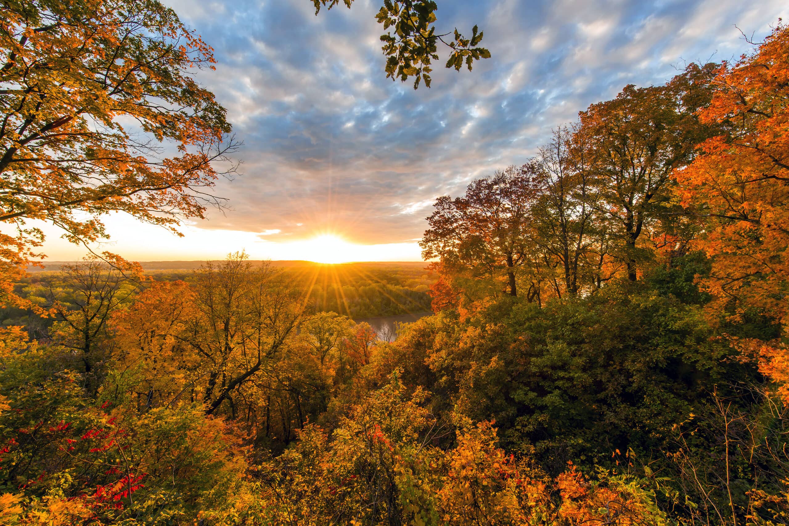 Fall Foliage Landscape Photography